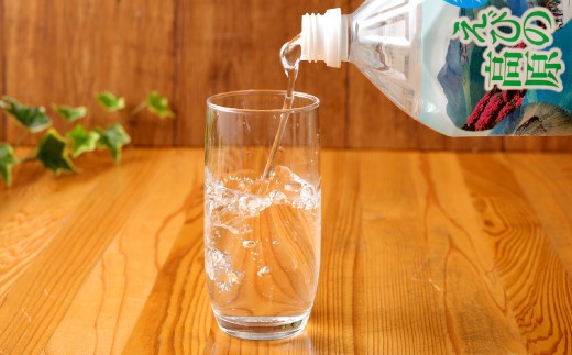 シリカ水 5年保存 名水えびの高原の備蓄水 硬度43.4の軟水 2L 合計12本 6本入×2ケース 長期保存水 保存水 防災水 備蓄水(防災 災害 等) 飲料水 水 お水 シリカ 赤ちゃん 調乳