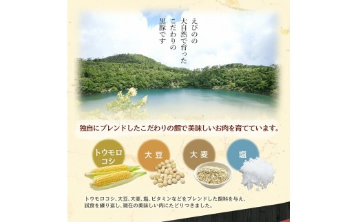 えびの純粋 黒豚お肉セット (ウデ434g・モモ866g) 合計1300g 1.3kg しゃぶしゃぶ スライス 豚肉 ギフト 贈り物 お礼 お祝い 高級 冷凍