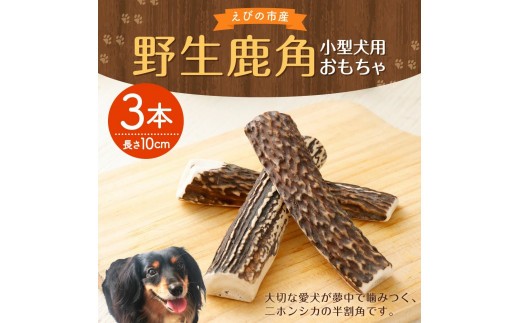 野生鹿角 3本 長さ10cm 幅2~3cm程度 小型犬用 おもちゃ 犬用 鹿の角 半割角 犬 ガム 骨 デンタルケア 宮崎県産
