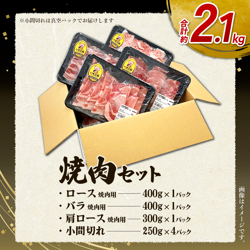 いもこ豚 焼肉セット 2.1kg 宮崎県産 豚肉 焼肉 豚バラ ロース 肩ロース 小分け 真空パック 小間切れ 切り落とし 豚丼 BBQ 国産
