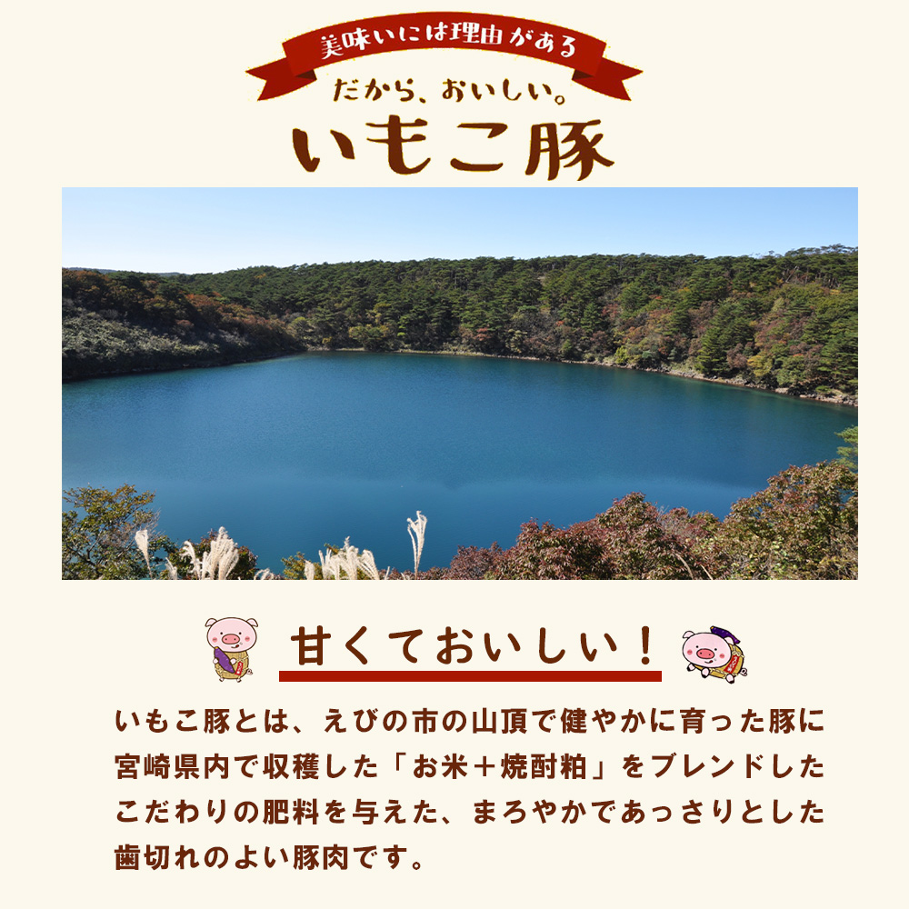 いもこ豚 焼肉セット 2.1kg 宮崎県産 豚肉 焼肉 豚バラ ロース 肩ロース 小分け 真空パック 小間切れ 切り落とし 豚丼 BBQ 国産