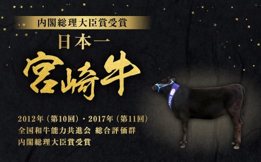 【史上初!和牛オリンピック4連覇!】宮崎牛 切り落とし 霜降り & 赤身 焼肉セット 700g カルビ モモ ウデ 赤身 国産牛 牛肉 お肉 冷凍 焼肉 焼き肉 BBQ バーベキュー 鉄板