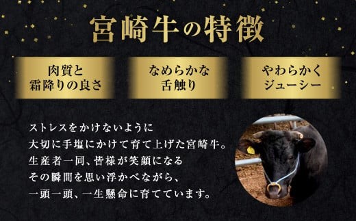 【史上初!和牛オリンピック4連覇!】宮崎牛 切り落とし 霜降り & 赤身 焼肉セット 700g カルビ モモ ウデ 赤身 国産牛 牛肉 お肉 冷凍 焼肉 焼き肉 BBQ バーベキュー 鉄板