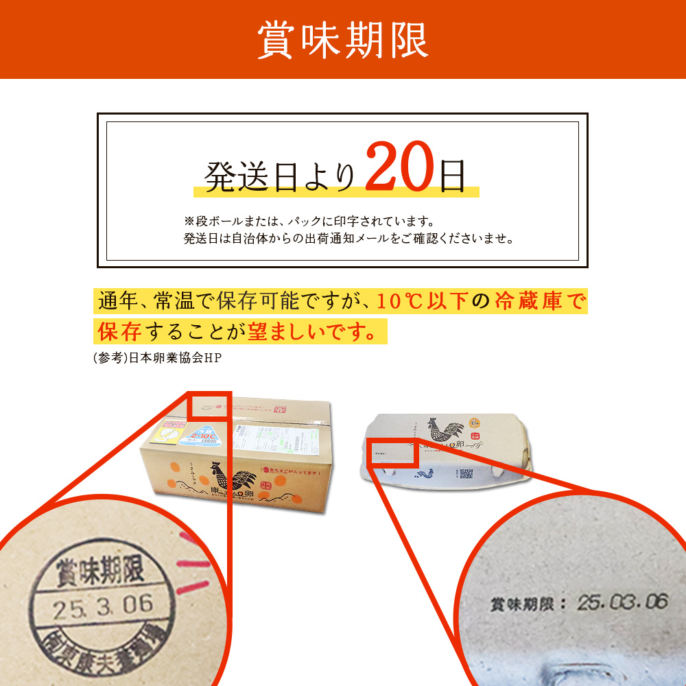 霧島山麓育ち こだわり卵 康卵 計30個（27個 + 割れ保証3個）たまご 玉子 卵焼き 玉子焼き たまご焼き 生卵 鶏卵 たまごかけごはん 国産 九州産 宮崎県産