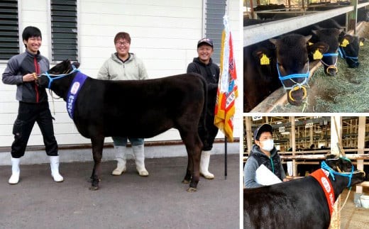 【史上初!和牛オリンピック4連覇!】宮崎牛 切り落とし 牛肉 リブロース しゃぶしゃぶ すき焼き用 700g 国産 牛肉 スライス 冷凍 数量限定 宮崎県 九州