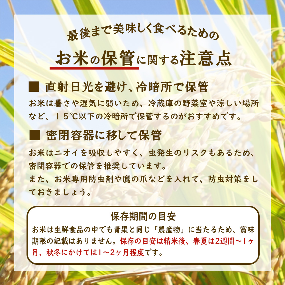 限定品 えびの産 ヒノヒカリ 真幸米(まさきまい) 5kg 米 ひのひかり お米 精米 白米 おにぎり お弁当