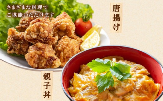 宮崎県産 若鶏もも切身 3kgセット (300g×10袋) 鶏肉 もも肉 鶏もも肉 唐揚げ 親子丼 小分け カット済み 真空パック 冷凍 国産 宮崎県産 九州