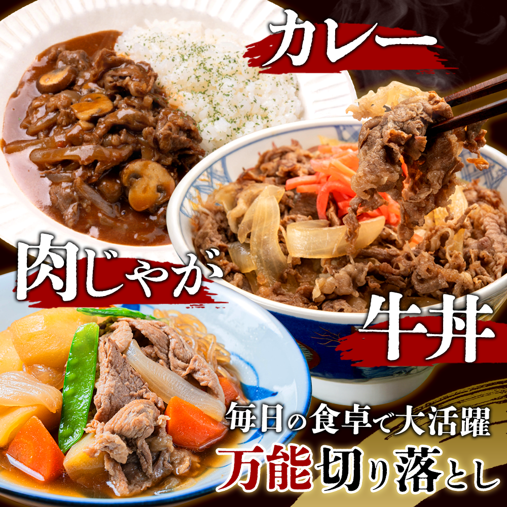 赤身が美味しい宮崎県産黒牛 切り落とし300g×1パック 宮崎県産 黒牛 切り落とし 300g 赤身 牛肉 切り落とし 肉 お肉 牛 国産牛 小分け 真空パック 冷凍 贈答 ギフト 人気 国産 えびの市