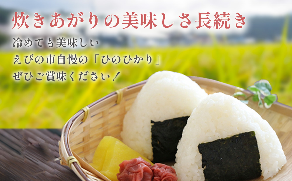 【令和7年産】米【年間定期便】ひのひかり 合計 120kg(10kg × 12回) 特A えびの産 ヒノヒカリ 特選米 ブランド米 お米 おこめ こめ コメ 白米 精米 ふるさと納税 宮崎県 えびの市