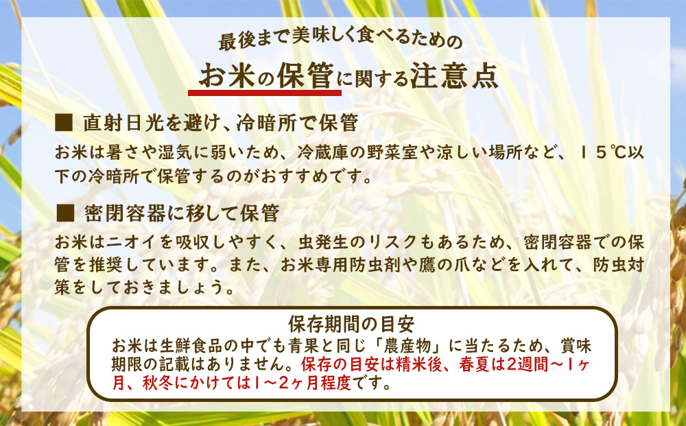 【令和7年産】米【年間定期便】ひのひかり 合計 120kg(10kg × 12回) 特A えびの産 ヒノヒカリ 特選米 ブランド米 お米 おこめ こめ コメ 白米 精米 ふるさと納税 宮崎県 えびの市