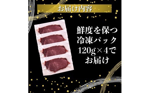 ヒレ ステーキ 宮崎 ハーブ牛 480g（120g×4枚）小分け 真空パック 冷凍