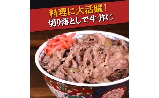 牛肉 切り落とし 宮崎 ハーブ牛 900g(300g×3パック) 小分け 真空パック 冷凍