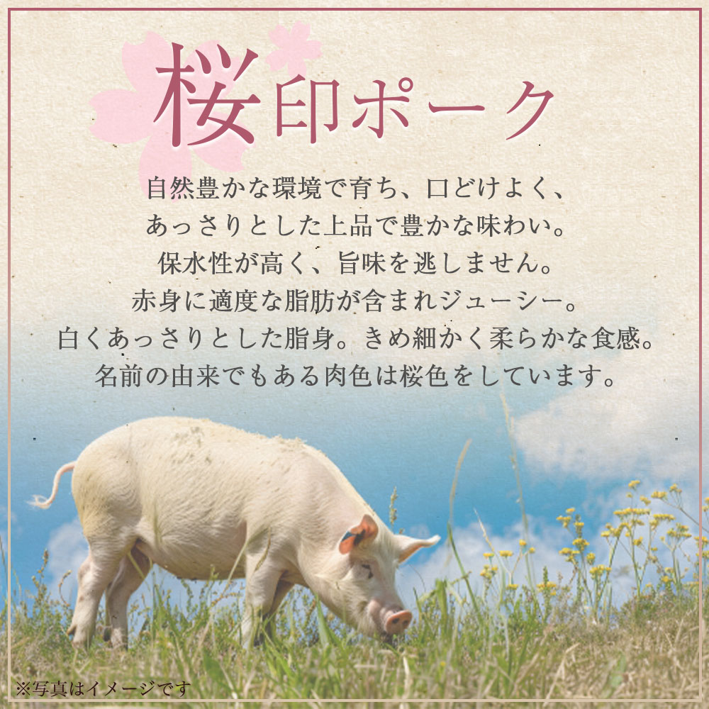 桜印ポークよりどりセット 約3.8kg 国産 ぶたにく お肉 ブタ 精肉 切り落し こま 小間切れ 豚コマ バラ ばら肉 ロース 使いやすい 小分けパック 冷凍食品 保存 切り身 スライス 【MI456-tr】