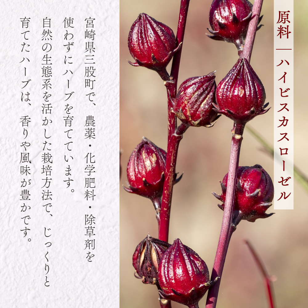 塩ローゼル 【瓶/パック】 60g/【小粒】70g 国産ハーブ ハイビスカスローゼル 香りや風味が豊か ビタミンC カルシウム 鉄 ポリフェノール ミネラル リラックス 癒し 和食 おにぎりの具 ごはん 【MI624-bi】