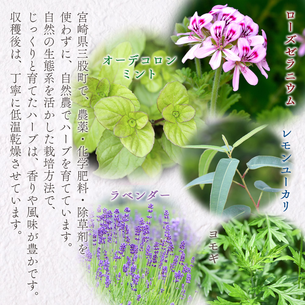 香り袋（オーデコロンミント/ローズゼラニウム/ラベンダー/レモンユーカリ/ヨモギ））国産 ドライ 乾燥した天然ハーブ 自然 芳香用 サシェ クローゼット 引き出し 玄関 お部屋 車内 車の中【MI713-bi】