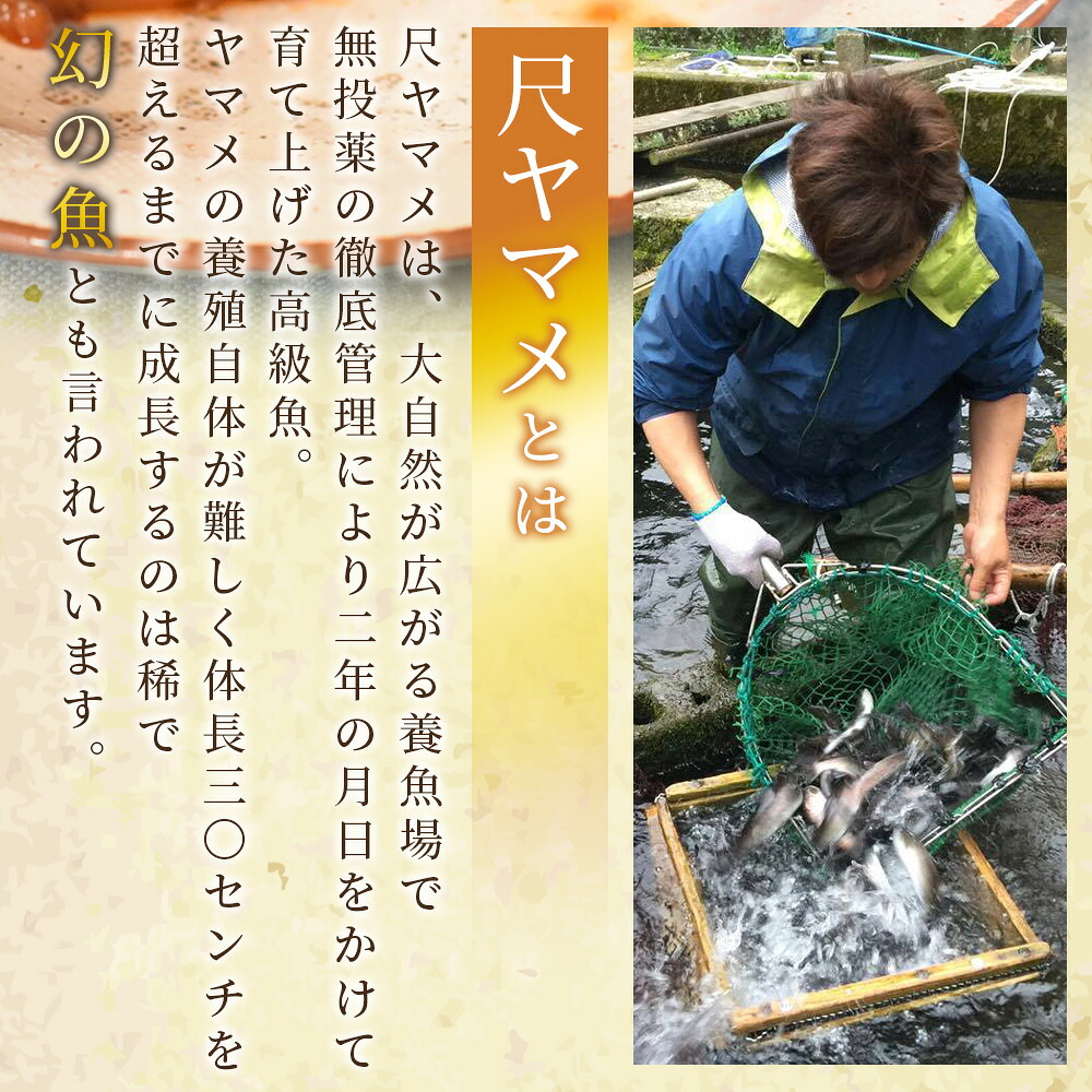 尺ヤマメ甘露煮 1本～3本 国産 九州産 山女魚 水産物 魚 魚介 養殖魚 誕生日 プレゼント ギフト 贈答品 おせち料理 おかず おつまみ 肴 バーベキュー BBQ【MI754-sk】