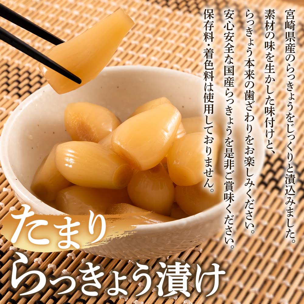 熟成たまりらっきょう800g（80g×10P）らつきょう ラッキョウ 辣韭 おつまみ 肴 ご飯のおとも 野菜 旬 漬物 おつけもの シャキシャキ 食感 歯ごたえ 晩酌 料理 アレンジ 【MI012-ko】