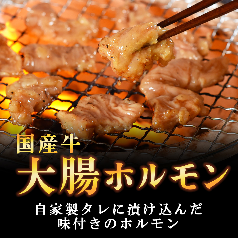 ＜【訳あり】国産牛ホルモン大腸（特製タレ漬け）＞ 800g 1.6kg 3.2kg 国産牛ホルモン 国産 牛肉 肉 ホルモン モツ 大腸 ダイチョウ【MI024-nk】