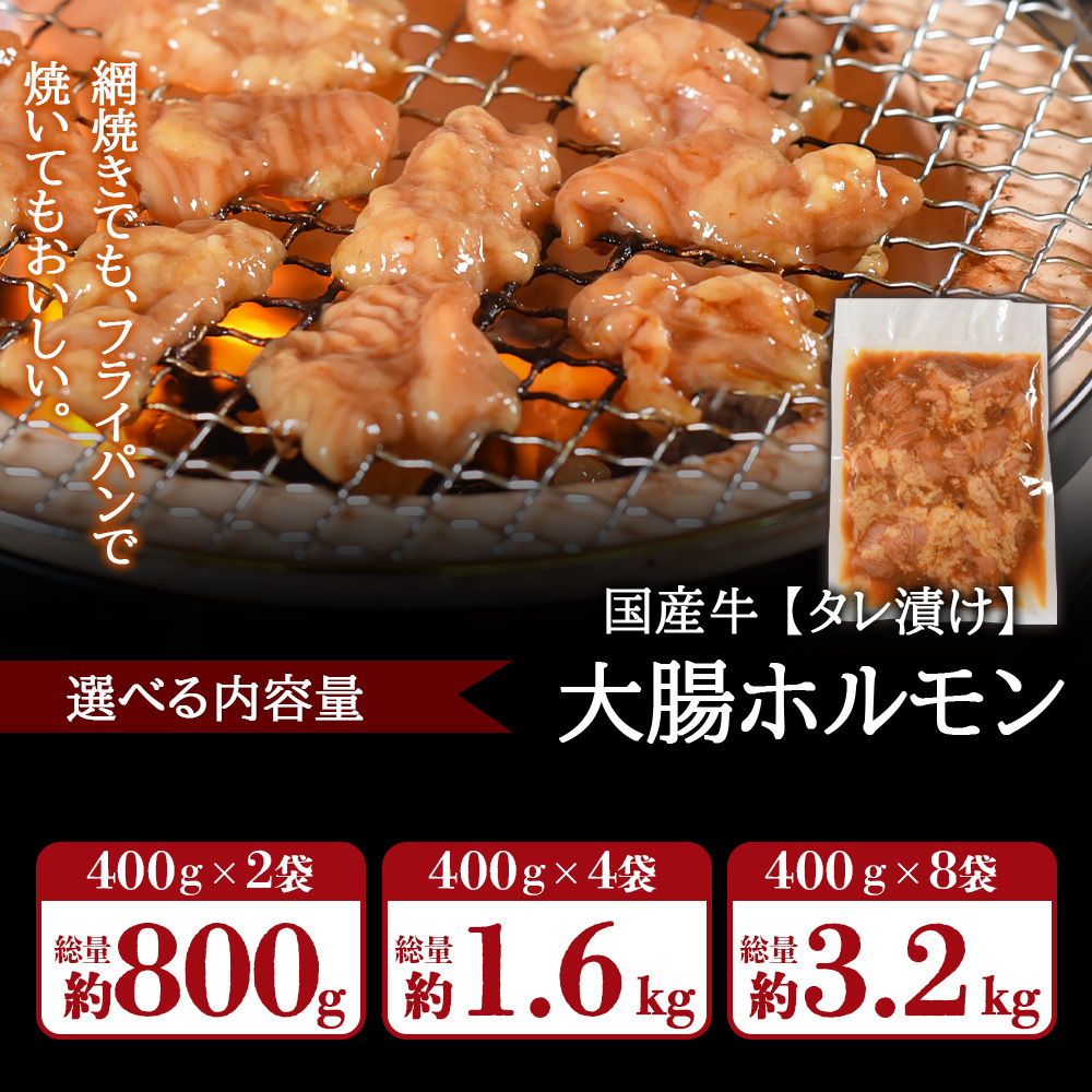 ＜【訳あり】国産牛ホルモン大腸（特製タレ漬け）＞ 800g 1.6kg 3.2kg 国産牛ホルモン 国産 牛肉 肉 ホルモン モツ 大腸 ダイチョウ【MI024-nk】