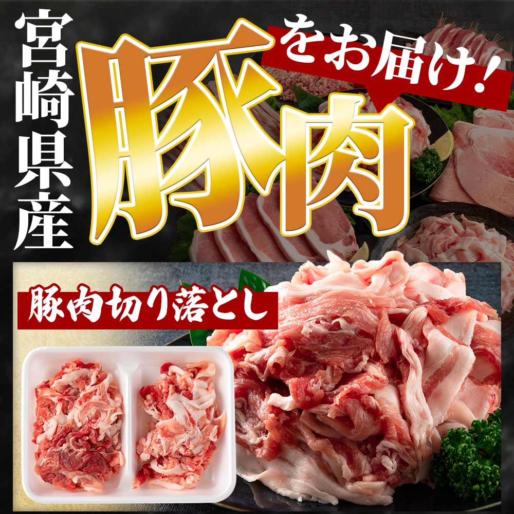 宮崎県産豚肉バラエティーセット 3.6kg 豚 切落し とんかつ ロース ミンチ モモ バラ バラ切り落とし 肉 国産 ブランド豚 個別包装 おかず 晩ご飯 ディナー ご褒美 記念日 【MI193-hr】