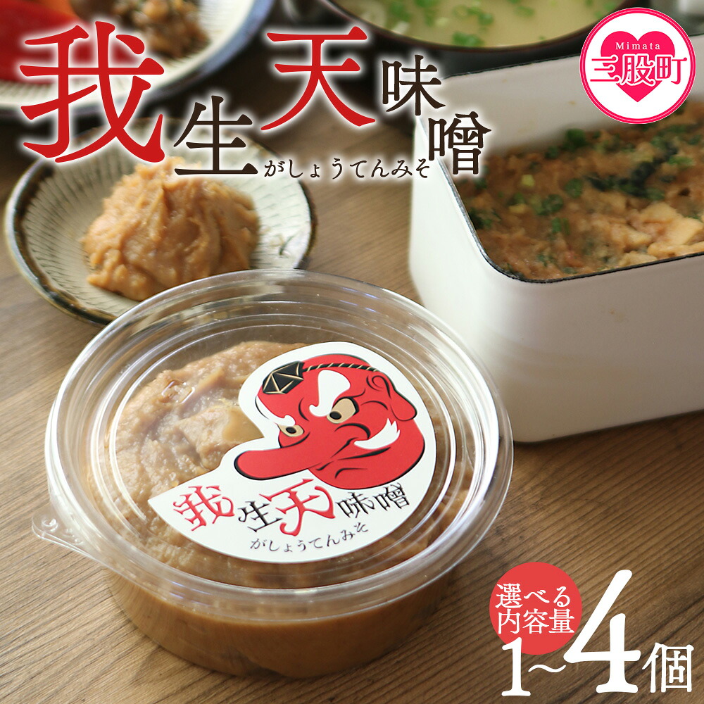 我生天味噌 1〜4個 1個300g 選べる 内容量 個数 みそ ミソ 調味料 酵母 どぶろく味噌 ドブロク 米 料理 お味噌汁 パック 発酵食品 まろやか マイルド 風味 旨味 加工食品 和食 和 【MI576-gs】