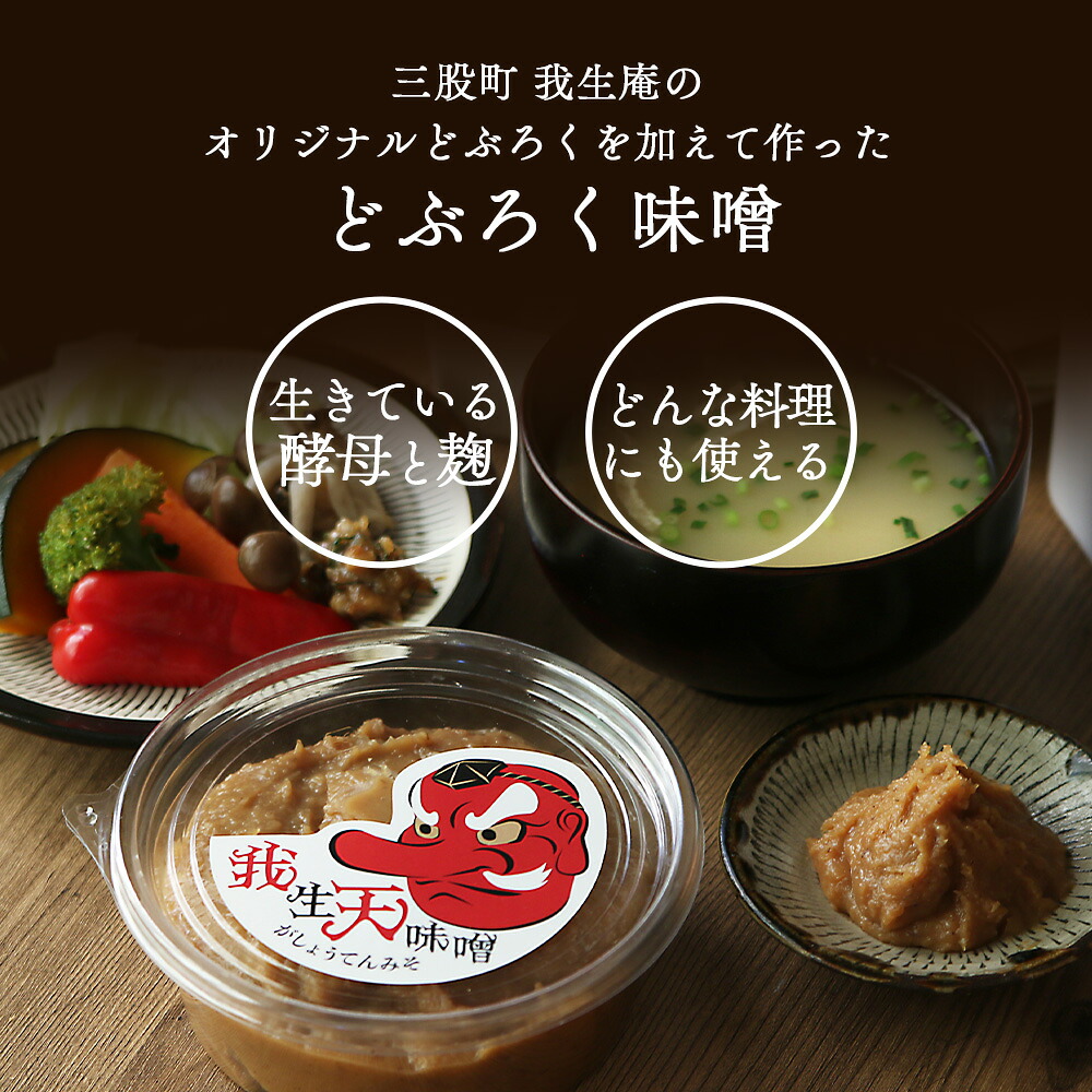 我生天味噌 1〜4個 1個300g 選べる 内容量 個数 みそ ミソ 調味料 酵母 どぶろく味噌 ドブロク 米 料理 お味噌汁 パック 発酵食品 まろやか マイルド 風味 旨味 加工食品 和食 和 【MI576-gs】