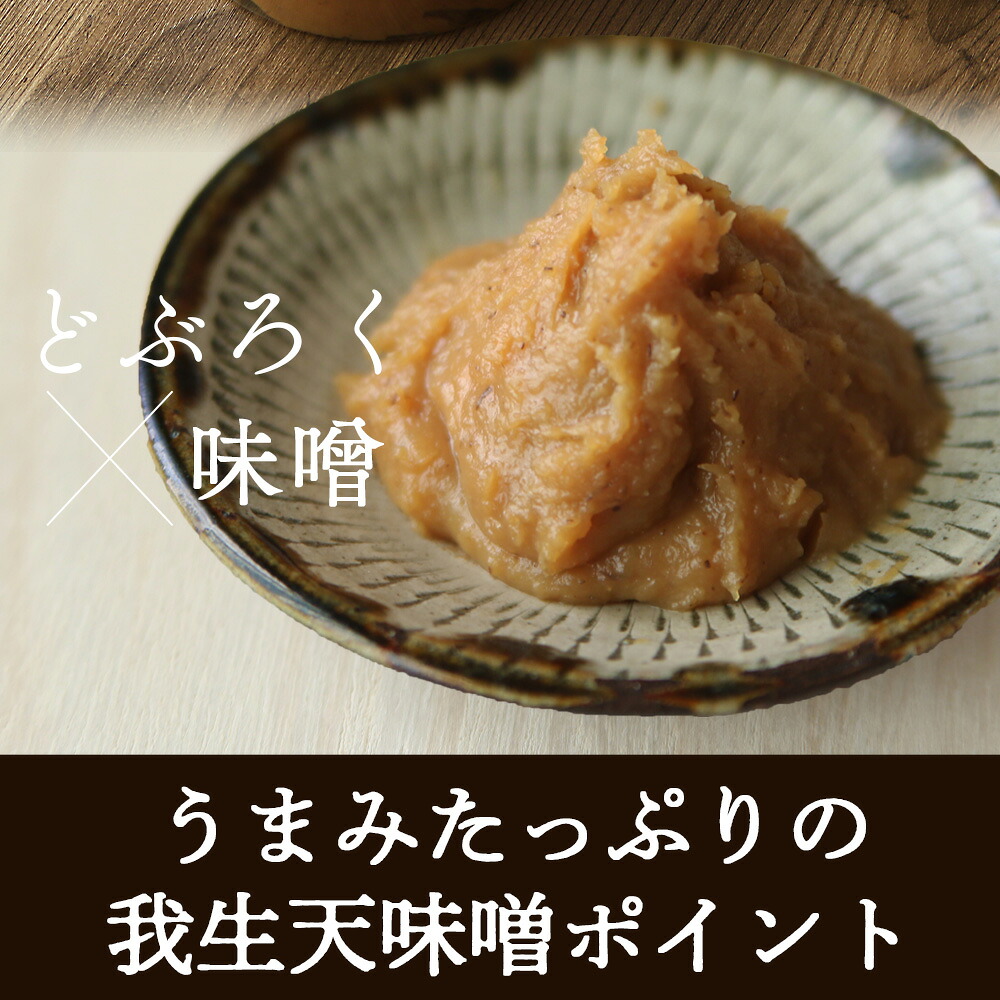 我生天味噌 1〜4個 1個300g 選べる 内容量 個数 みそ ミソ 調味料 酵母 どぶろく味噌 ドブロク 米 料理 お味噌汁 パック 発酵食品 まろやか マイルド 風味 旨味 加工食品 和食 和 【MI576-gs】