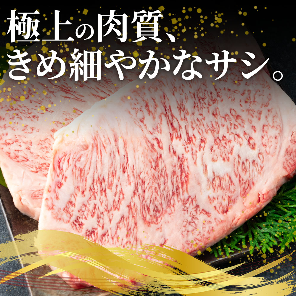 宮崎牛ロースステーキ 4枚（総量1kg） 牛肉 おすすめ 国産牛肉 和牛 ブランド牛 人気 コスパ ステーキ 宮崎県産黒毛和牛 A4等級 霜降り 焼肉 お取り寄せ 冷凍食品【MI059-my】