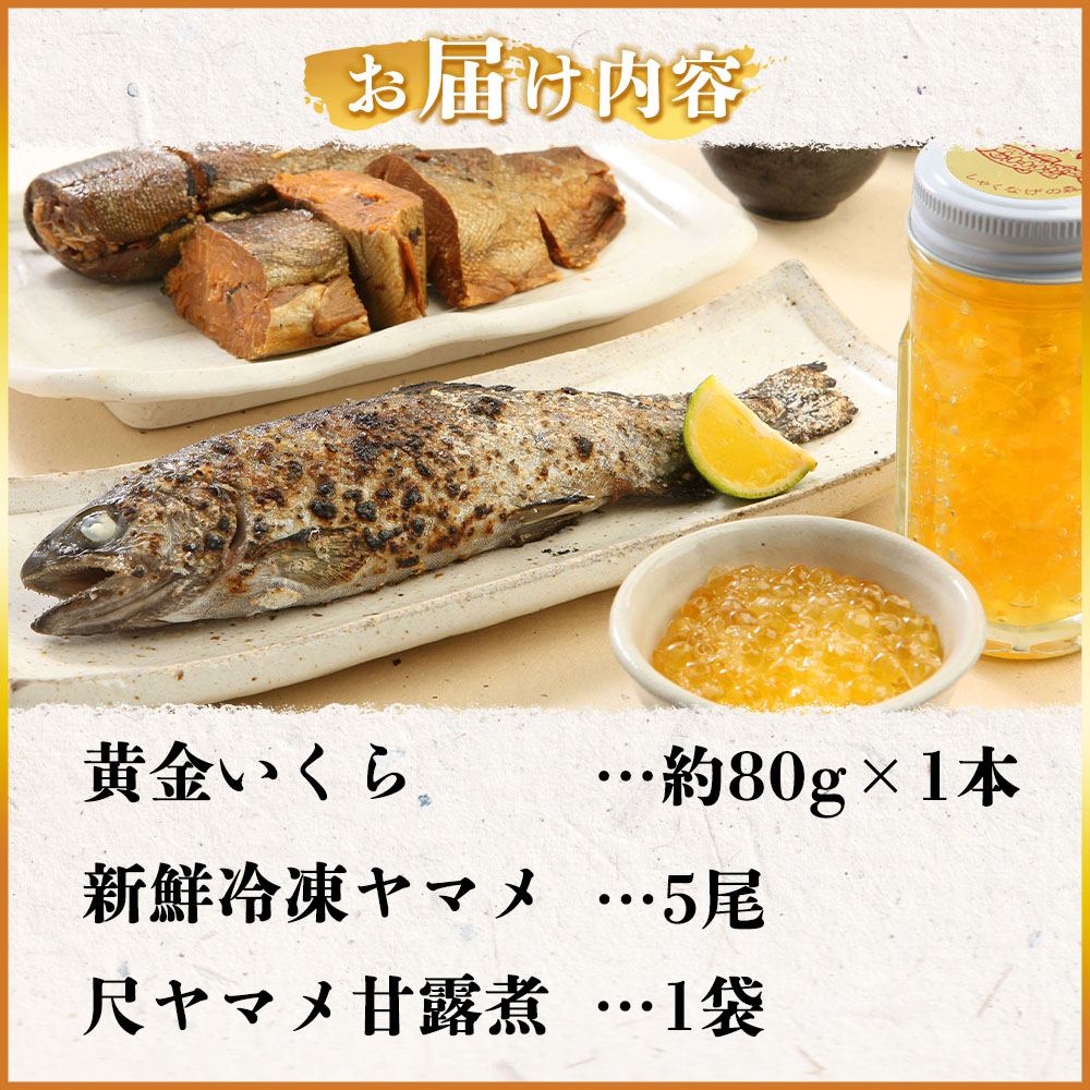 【先行予約】黄金イクラと新鮮冷凍ヤマメセット(3種)黄金イクラやヤマメを詰め合わせ！国産 九州産 宮崎 いくら 魚卵 やまめ 甘露煮 水産物 詰め合わせ 敬老の日 ギフト【A-0202-sk】