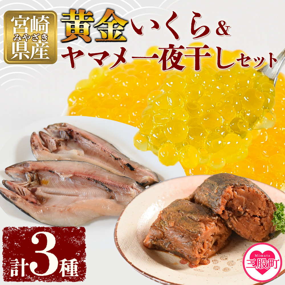 【先行予約】黄金イクラとヤマメ一夜干しセット(3種)黄金イクラやヤマメを詰め合わせ！国産 九州産 宮崎 いくら 魚卵 やまめ 一夜干し おかず 詰め合わせ 敬老の日 ギフト【A-0203-sk】