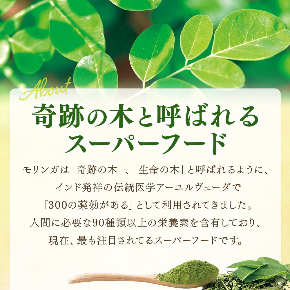 ひなたの恵みモリンガパウダー25g 宮崎県三股町産 モリンガ使用 ひなたモリンガ パウダータイプ スーパーフード 国産 粉末 健康 パウダー 簡単 宮崎県産 JAS認定工場製造 腸内改善 【MI261-ys】