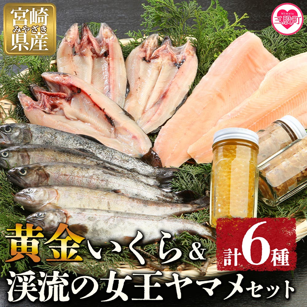 【先行予約】黄金イクラと渓流の女王ヤマメ逸品セット(6種)黄金イクラやヤマメなどを詰め合せ！国産 九州産 宮崎 いくら 魚卵 やまめ 一夜干し やまめ漬け フィレ【B-0204-sk】