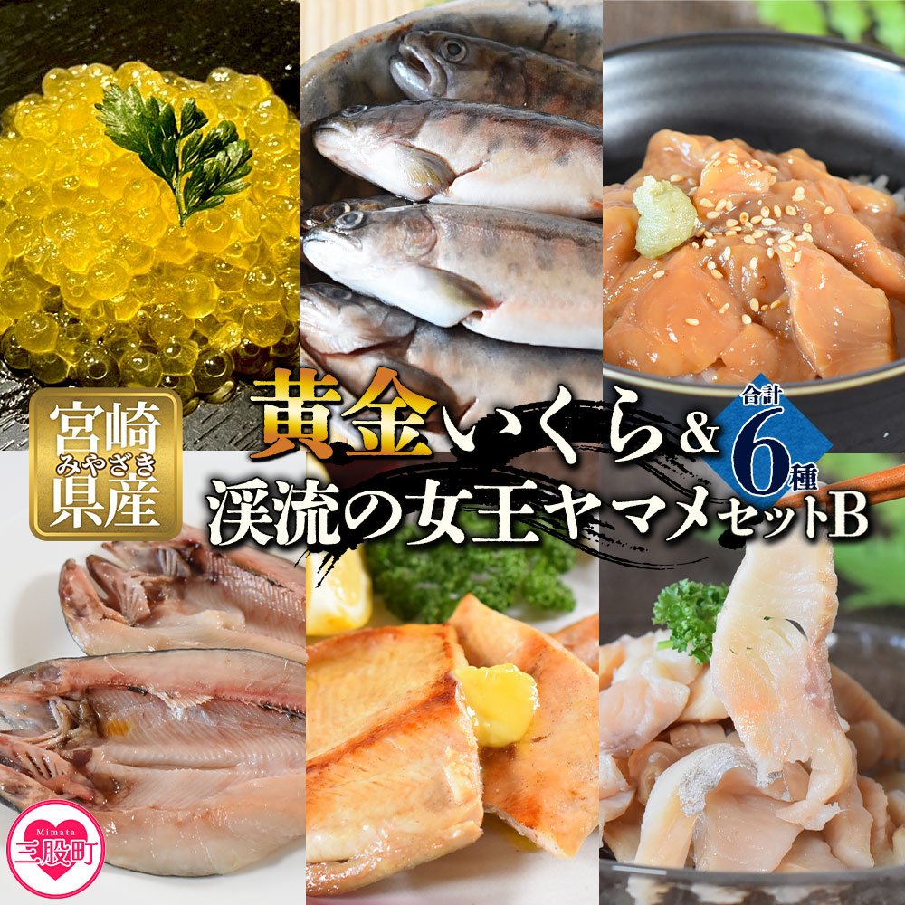 【先行予約】黄金イクラと渓流の女王ヤマメ逸品セットB(6種)黄金イクラやヤマメなどを詰め合せ！国産 九州産 宮崎 いくら 魚卵 やまめ 一夜干し やまめ漬け フィレ スモーク【B-0206-sk】
