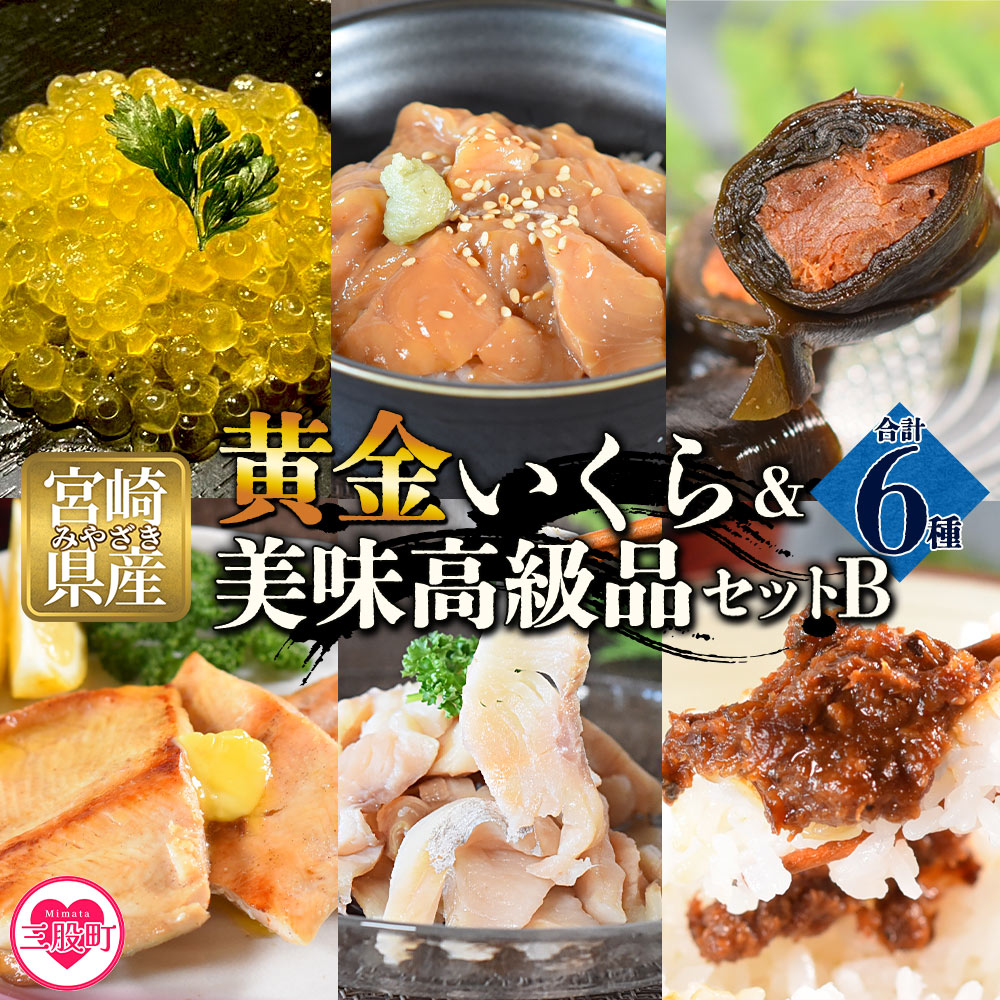 【先行予約】黄金イクラと美味高級品セットB(6種)黄金イクラやヤマメなどを詰め合せ！国産 九州産 宮崎 いくら 魚卵 やまめ 甘露煮 こんぶ フィレ スモーク マリネ 味噌【B-0207-sk】