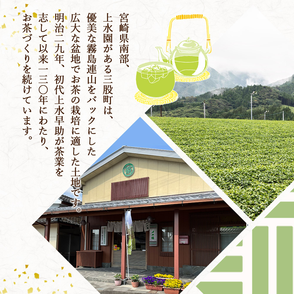 バイオ茶セット(4種)バイオ茶、バイオ茶スポーツ、焙煎黒バイオ茶、颯々など上水園の商品を詰め合せ！お茶 茶葉 tea  緑茶 製茶 水出し アイス ティーバッグ マグボトル【B-0802-km】