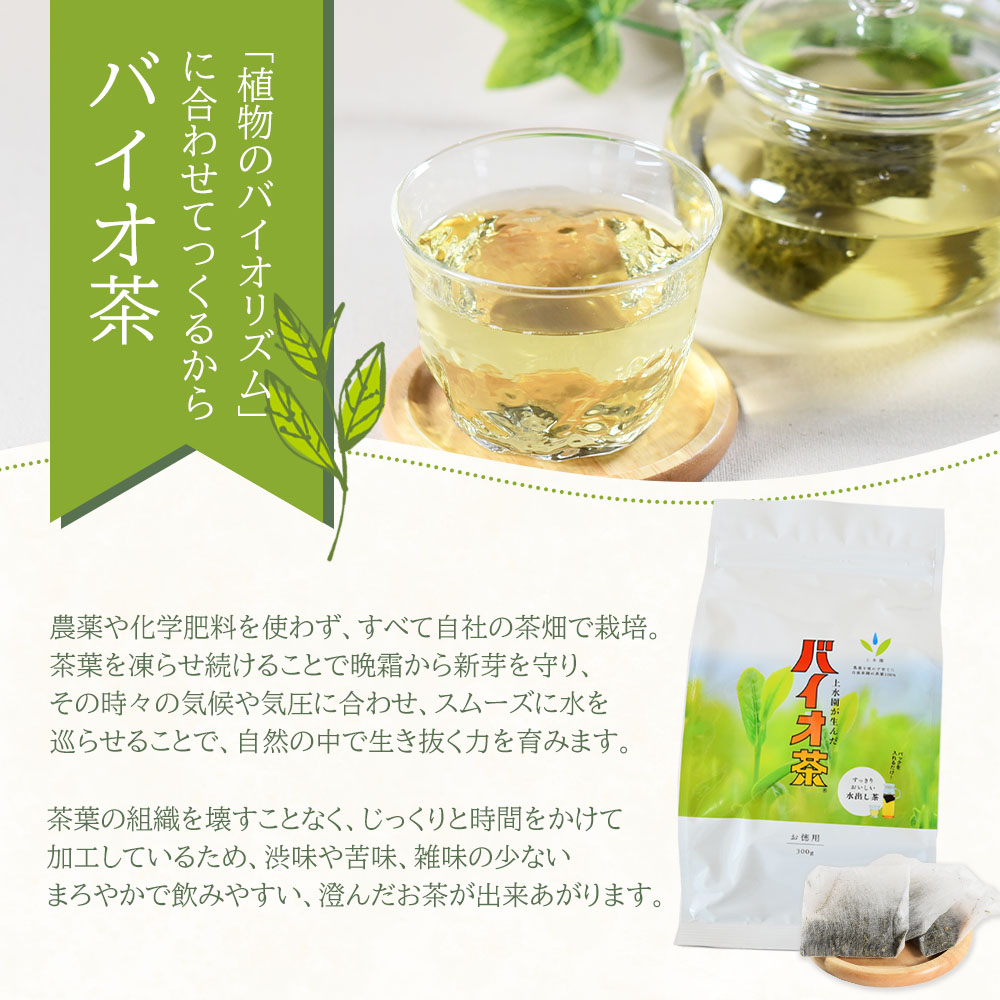 バイオ茶(3g×20パック入)×20袋 合計1.2kg お茶 茶葉 tea  緑茶 製茶 水出し アイス ティーバッグ マグボトル お手軽 小分け【B-0805-km】