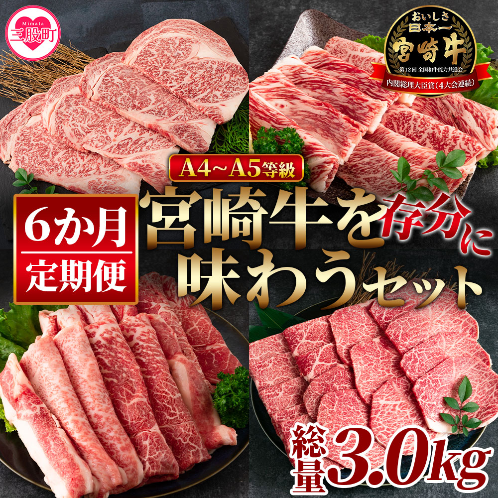 【定期便6か月】宮崎牛を存分に味わうセット 総量3.0kg 国産 ブランド牛 牛肉 おすすめ 黒毛和牛 国産牛肉 和牛 人気 コスパ 定期便 量が多い A4 A5 【MI231-nh】