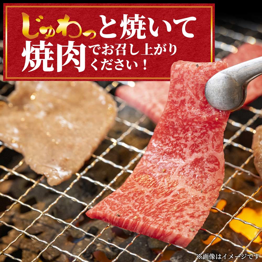 宮崎牛 4・5等級 希少部位三角バラ（カルビ）焼肉400g 国産ブランド牛 牛肉 おすすめ 黒毛和牛 国産牛肉 和牛 人気 コスパ 焼肉用 バーベキュー BBQ  肩 バラ ばら肉 【MI172-my】