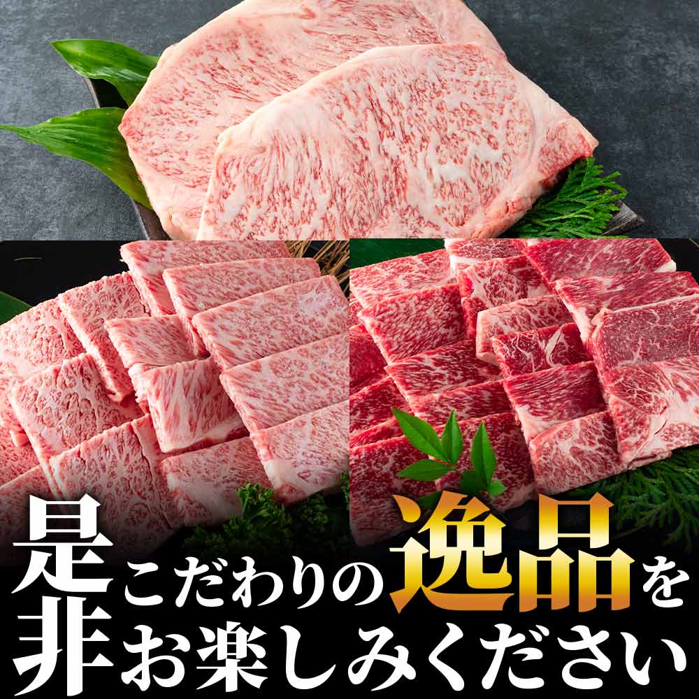 【3ヶ月定期便】総重量1.9kgの宮崎牛ステーキ焼肉味わいセット 総重量1.9kg 国産ブランド牛 牛肉 おすすめ 黒毛和牛 国産牛肉 和牛 人気 コスパ 定期便 量が多い 焼肉用 【MI238-my】