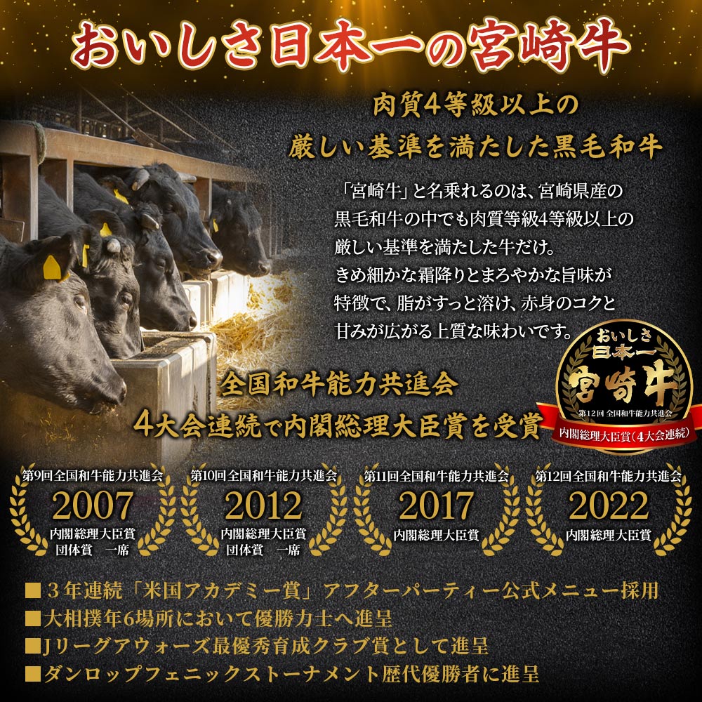 【3ヶ月定期便】総重量1.1kg 宮崎牛焼肉味わい試し肩ロース ウデ モモ 食べくらべ 国産 九州産 みやざき牛肉 焼き肉 BBQ バーベキュー アウトドア 小分け 個包装 プレゼント【MI241-my-x1】
