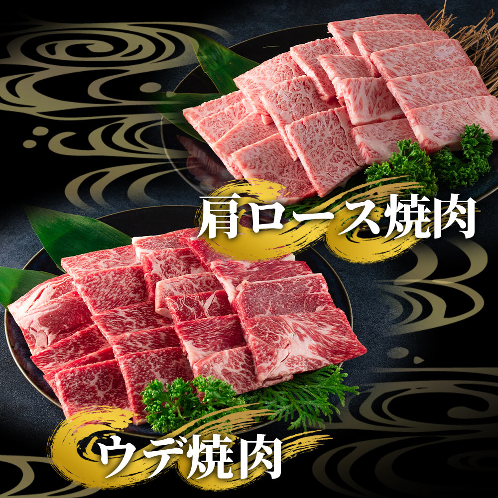 【3ヶ月定期便】総重量1.1kg 宮崎牛焼肉味わい試し肩ロース ウデ モモ 食べくらべ 国産 九州産 みやざき牛肉 焼き肉 BBQ バーベキュー アウトドア 小分け 個包装 プレゼント【MI241-my-x1】
