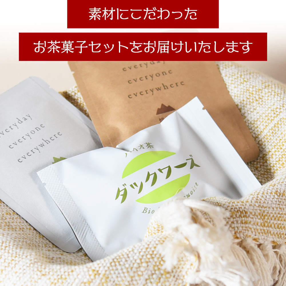 バイオ茶ダックワーズとバイオ茶お試しセット国産 九州産 宮崎 三股町 焼き菓子 詰め合わせ 十字屋 【MI157-jj】