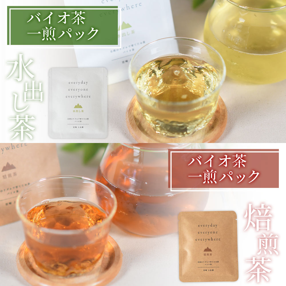 バイオ茶ダックワーズとバイオ茶お試しセット国産 九州産 宮崎 三股町 焼き菓子 詰め合わせ 十字屋 【MI157-jj】