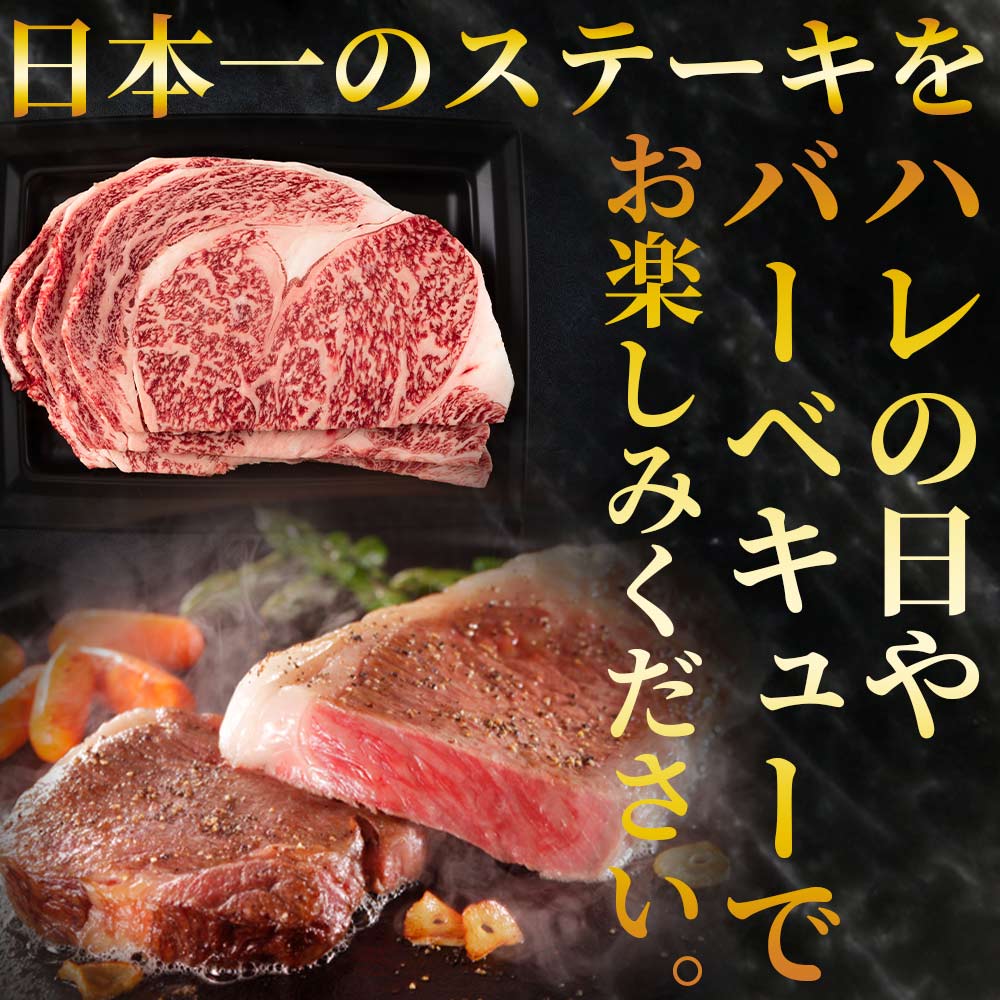 宮崎牛ロースステーキ 600g（150g×4枚） 国産ブランド牛 牛肉 おすすめ 黒毛和牛 国産牛肉 和牛 人気 コスパ A4 A5 宮崎牛 A4ランク ロースステーキ ステーキ用 ギフト  【MI159-nh】