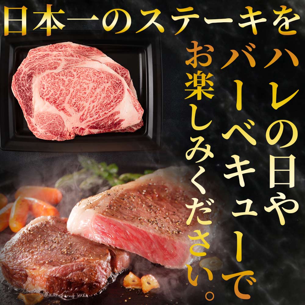 宮崎牛ロースステーキ 400g(200g×2枚)柔らかくきめ細かい肉質と適度な霜降りの入った美味しい牛肉をご堪能下さい!国産ブランド牛 牛肉 おすすめ 黒毛和牛 国産牛肉 和牛 人気 【MI160-nh】
