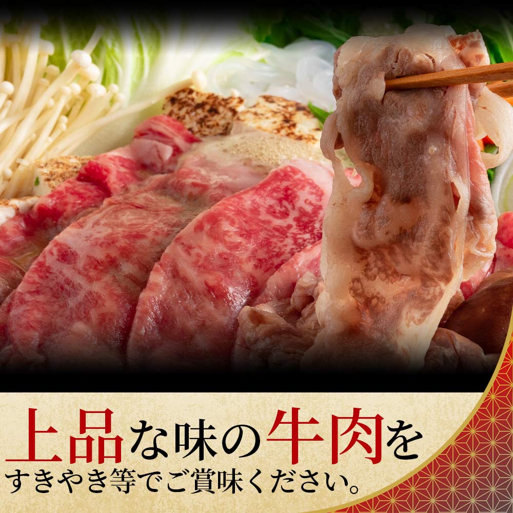 宮崎牛ローススライス 900g 国産 ブランド牛 牛肉 おすすめ 黒毛和牛 国産牛肉 和牛 人気 コスパ 量が多い 焼肉用 ステーキ 肉の豊楽 【MI195-hr】