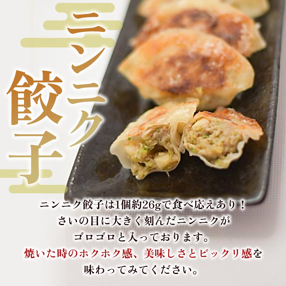 ニンニク餃子(12ヶ入×5パック) ギョウザ ぎょうざ ギョーザ にんにく 大蒜 冷凍 惣菜 弁当 焼くだけ おつまみ 簡単調理 中華 グルメ 福栄生餃子店【MI282-fu】
