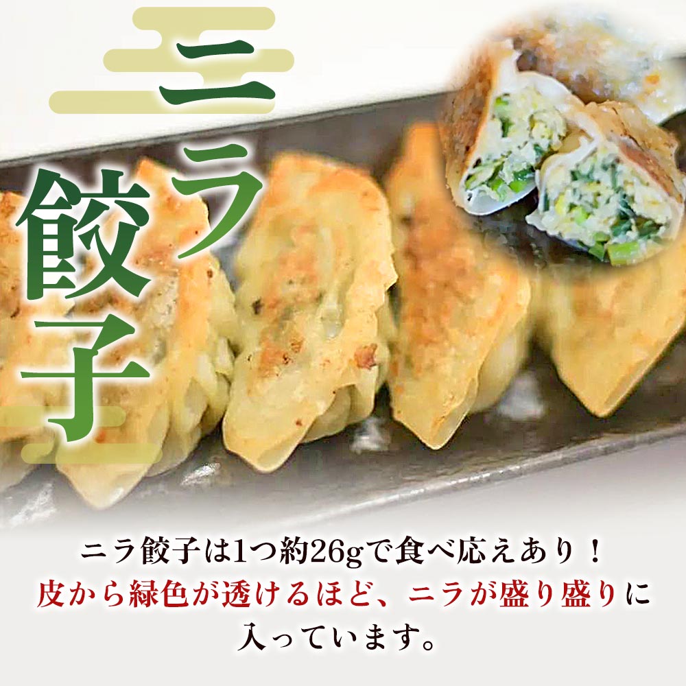 福栄生餃子店餃子4種(ニラ・ごぼう・ニンニク・エビチーズ)セット ギョウザ ぎょうざ ギョーザ にら ゴボウ にんにく 大蒜 えび 海老 チーズ 食べ比べ 冷凍 惣菜 弁当 おつまみ【MI286-fu】