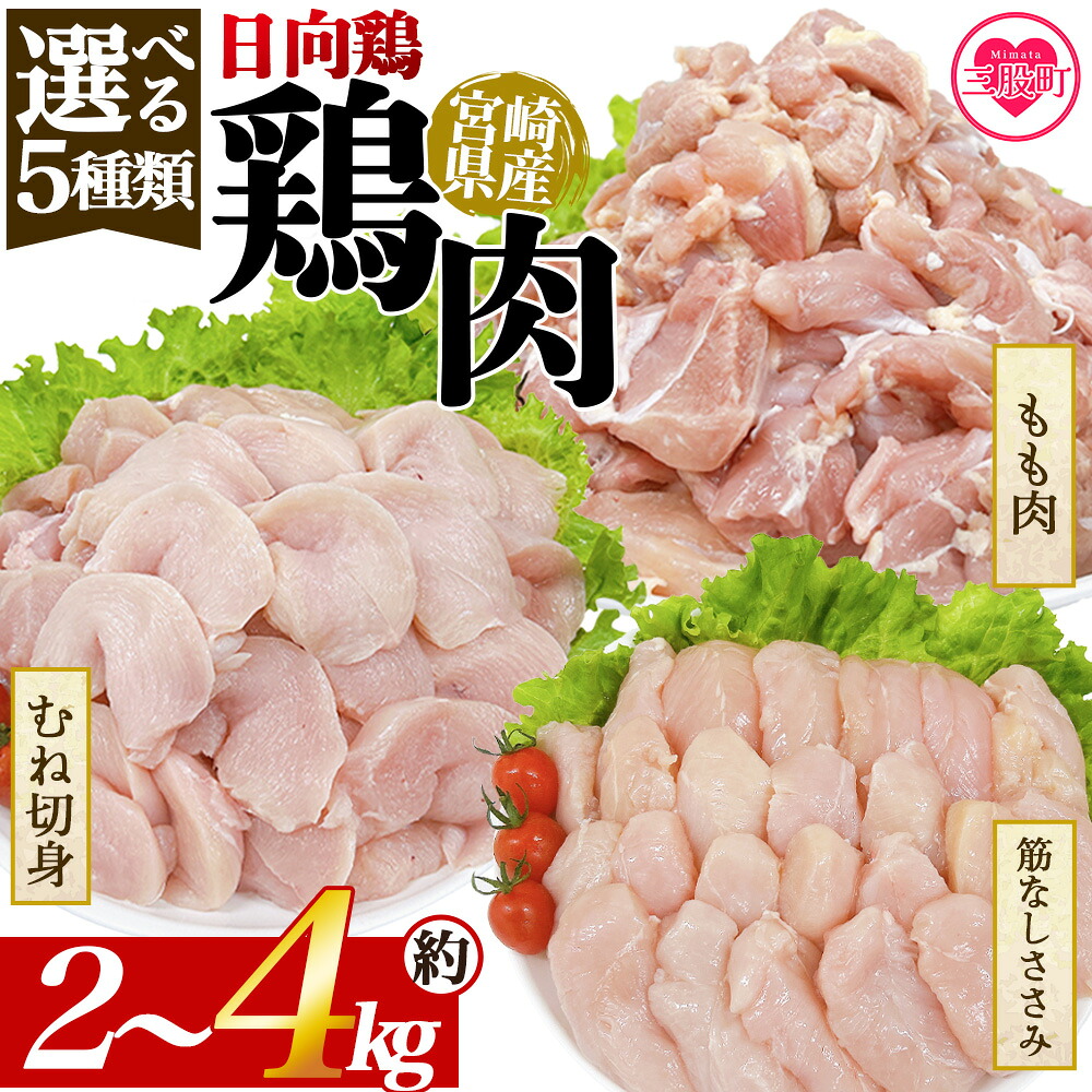 選べる5種類 宮崎県産 日向鶏 国産 鶏 肉 精肉 モモ もも肉 使いやすい パック 真空冷凍 切り身 選べる数量 お弁当 惣菜 からあげ 照り焼き 数量限定 BBQ 【MI441-tr】