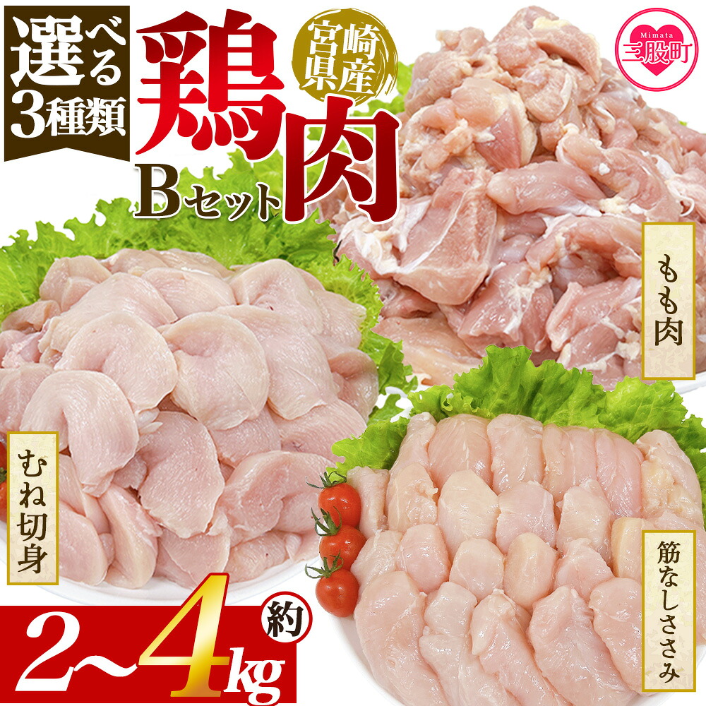 宮崎県産 鶏肉Bセット 選べる3種類  国産 鶏 肉 精肉 モモ もも肉 パック 真空冷凍 切り身 お弁当 惣菜 からあげ 照り焼き 数量限定 BBQ バーベキュー 鶏ムネ 鶏むね 鳥モモ ささみ ササミ 鶏肉 【MI442-tr】